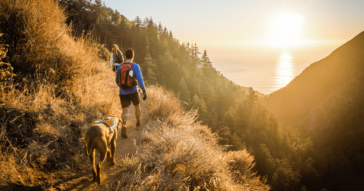 Cane e proprietari che fanno escursioni su un sentiero collinare