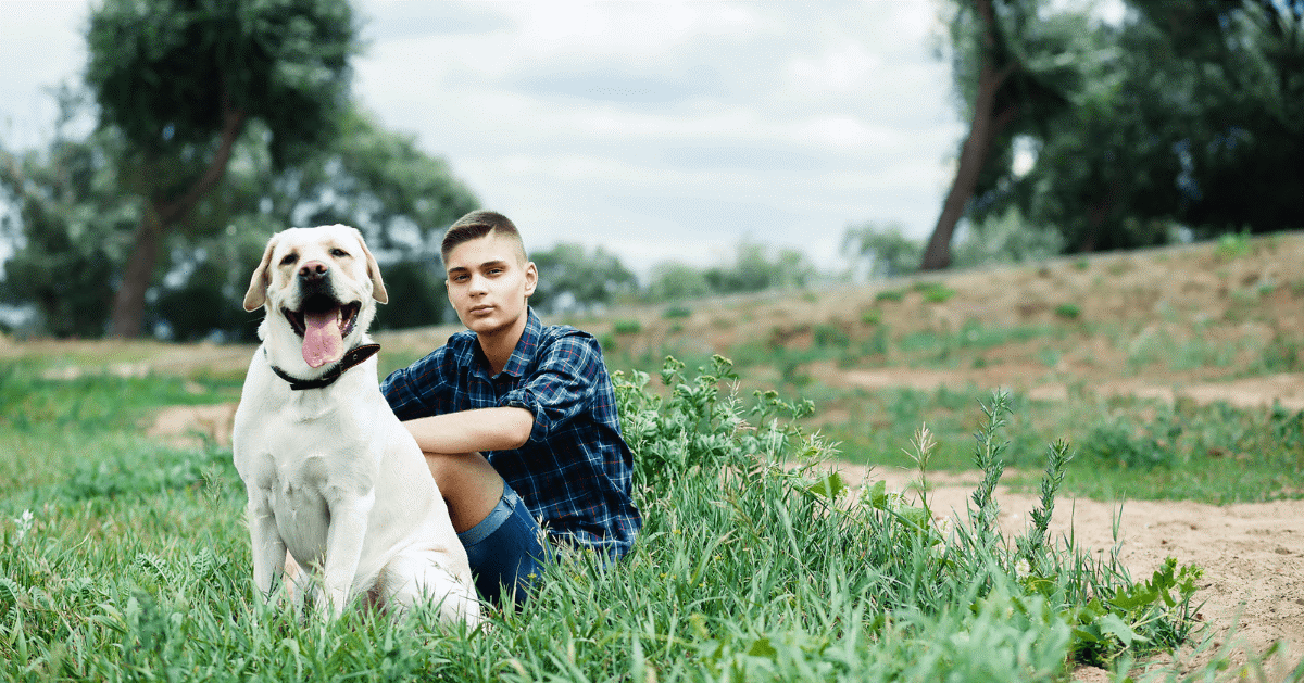 Come affrontare l’adolescenza nei cani