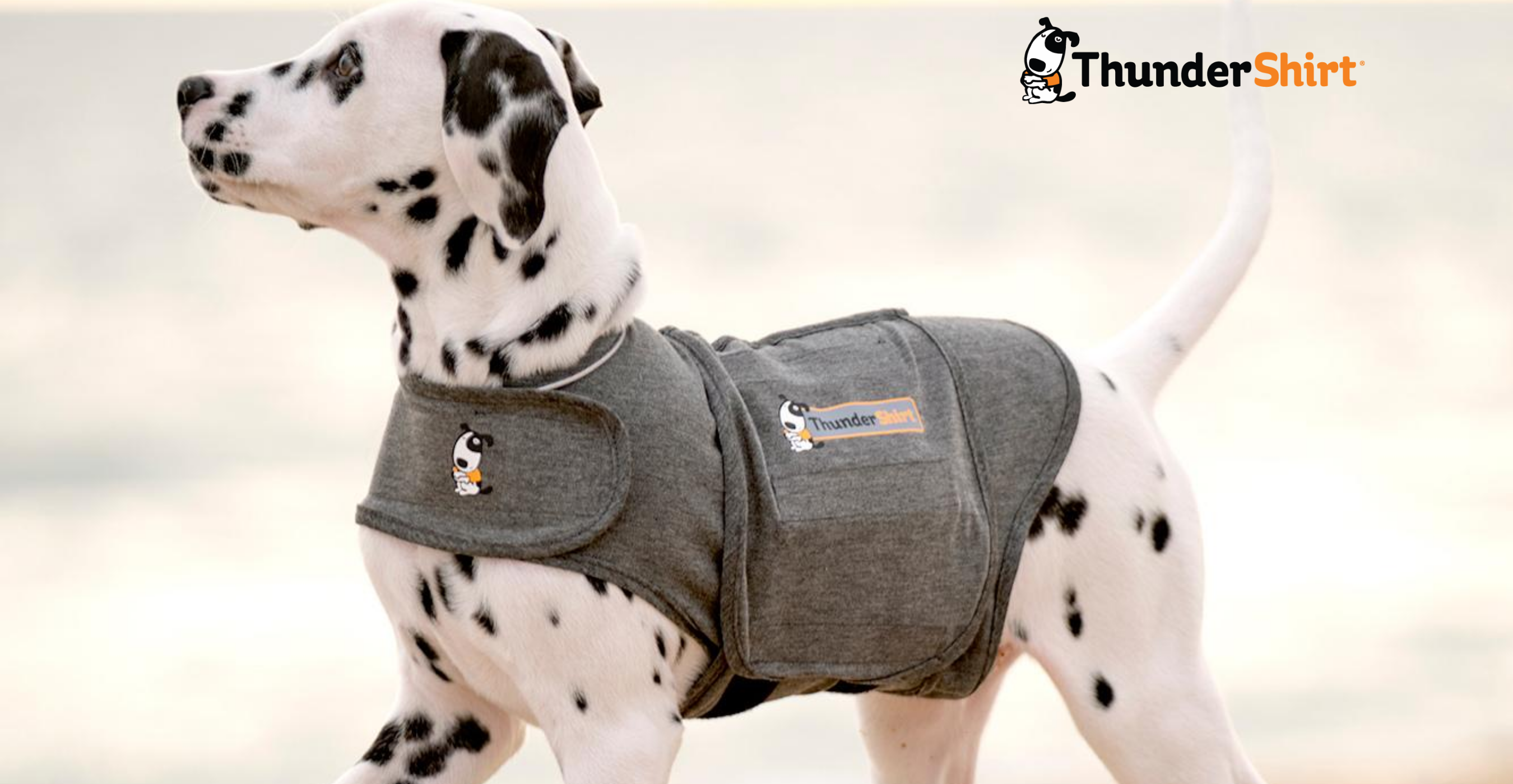 thundershirt spray