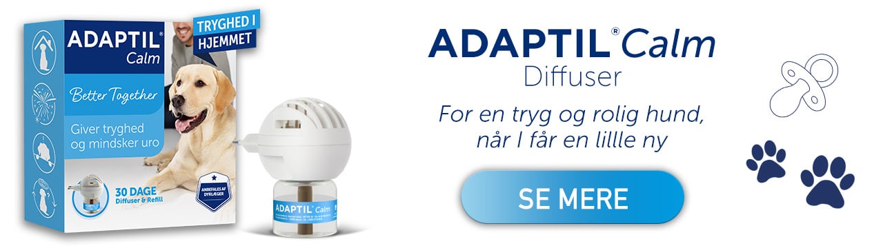 ADAPTIL Calm Diffuser - For en tryg og rolig hund, når I får en lille ny
