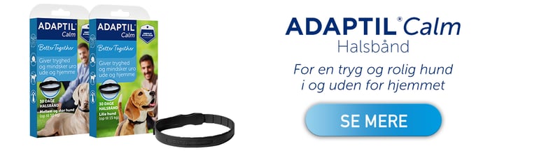 DK_CTA_Clam_Col_MRHI