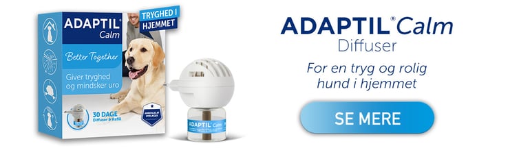 ADAPTIL Calm Diffuser - For en tryg og rolig hund i hjemmet