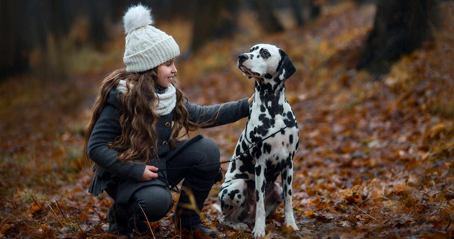 Dalmata com sua jovem tutora