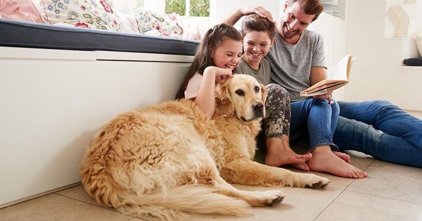 Família jovem que lê um livro ao lado do seu Golden Retriever