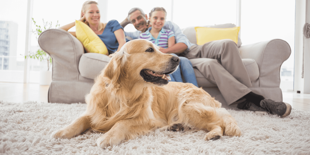 Familie sitzt auf Couch mit Hund auf Teppich