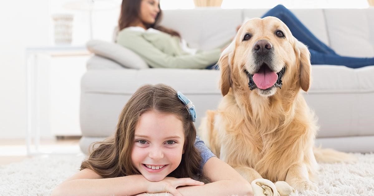 Giovane ragazza sdraiata sul tappeto con il suo golden retriever in salotto.