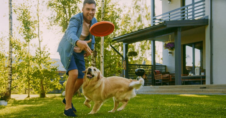 dicas para cuidar do seu cão em dias de calor 2