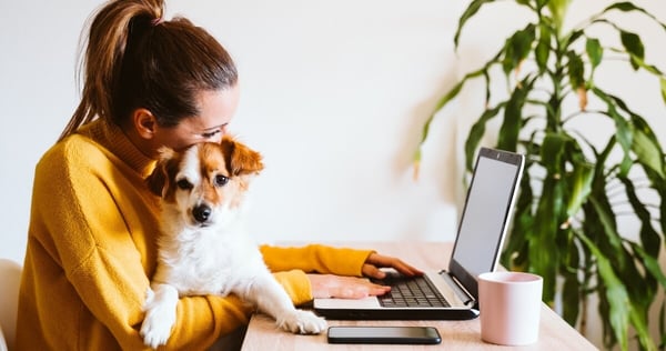 Taking dog to work