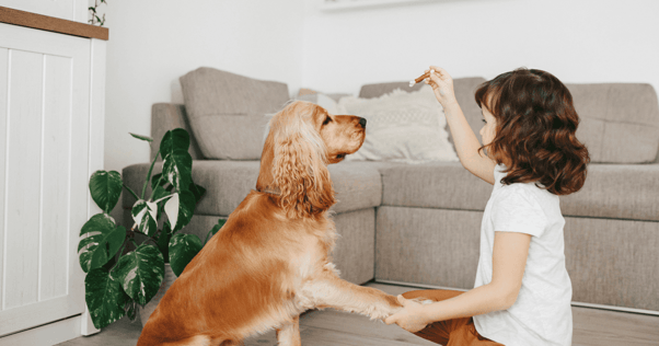 dog playing shake a paw with child