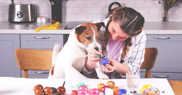 Idee per trascorrere una Pasqua felice e sicura con il tuo cane