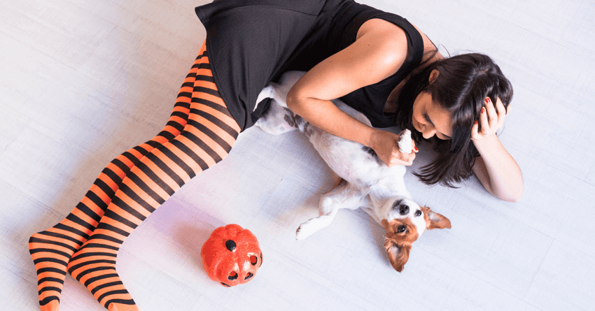 Come tranquillizzare il cane durante i festeggiamenti di Halloween