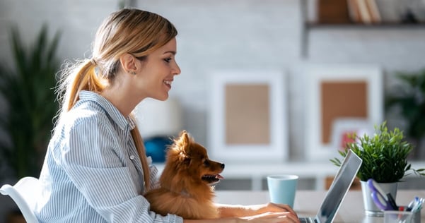 cute dog with owner working on laptop