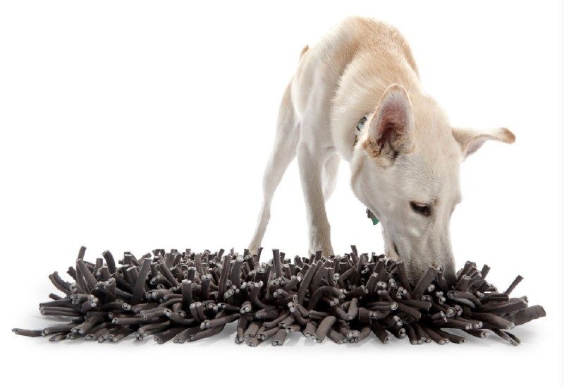 large-paw5-wooly-snuffle-mat
