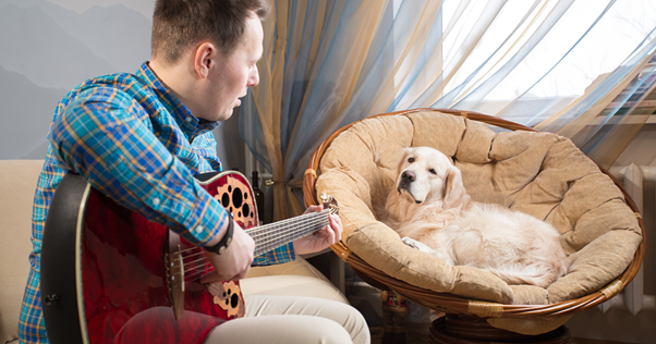Homem tocando violão para um cão relaxado