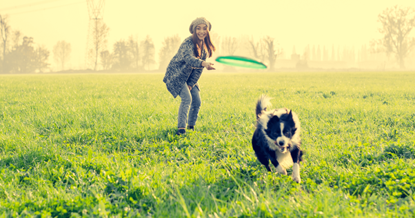 brincadeiras com cães