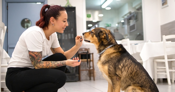 Woman crouched down feeding a dog treats