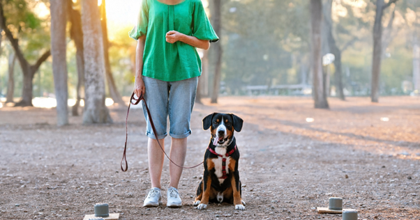 Imagen3-Feb-03-2026-12-21-48-4647-PM