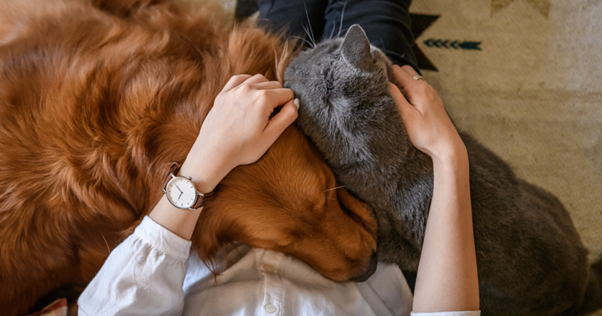 Imagen4-Jan-19-2026-12-22-57-4284-PM