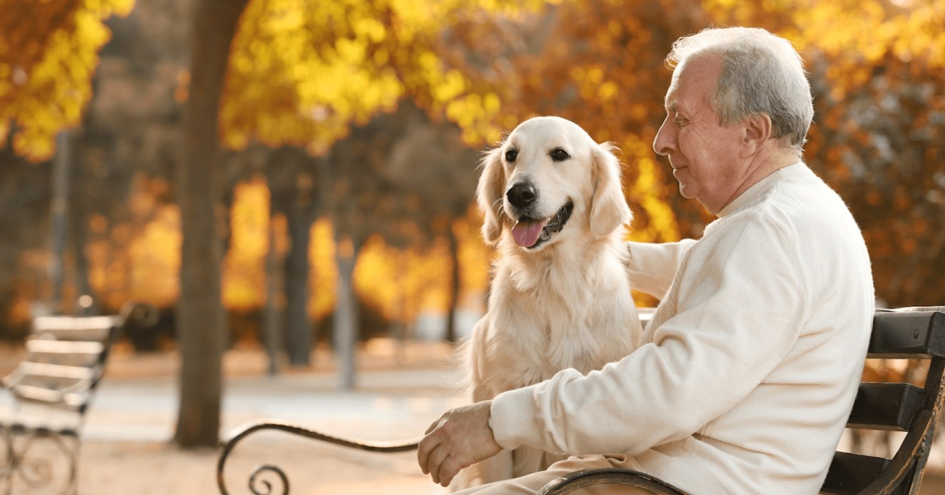 Idős férfi ül a kutyájával a parkban egy padon