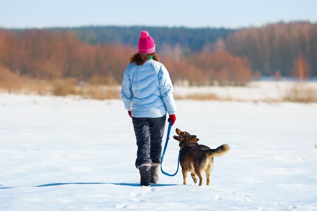 Nő sétáltatja a kutyáját a hóban