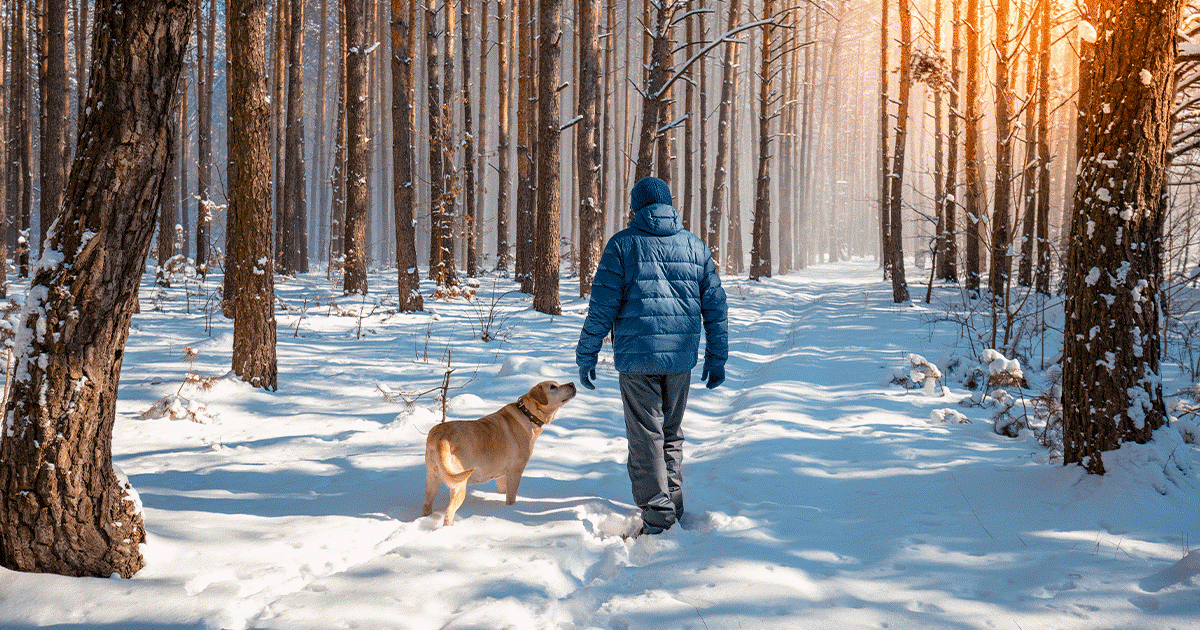 Passeggiare con il cane nelle stagioni fredde