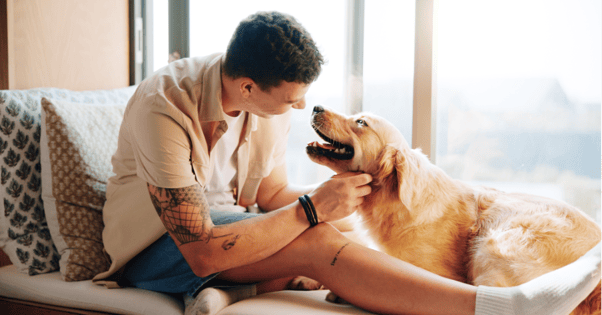 Man petting a dog as it looks at him with a grin. 