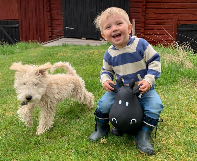 Hubbe och Ebbe leker på gräsmattan