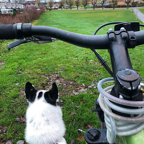 Hero på vag för dragträning