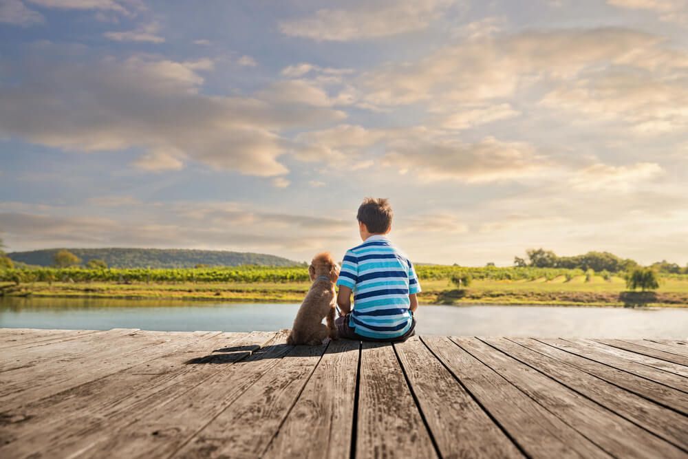 puppy and kid sitting by the water 