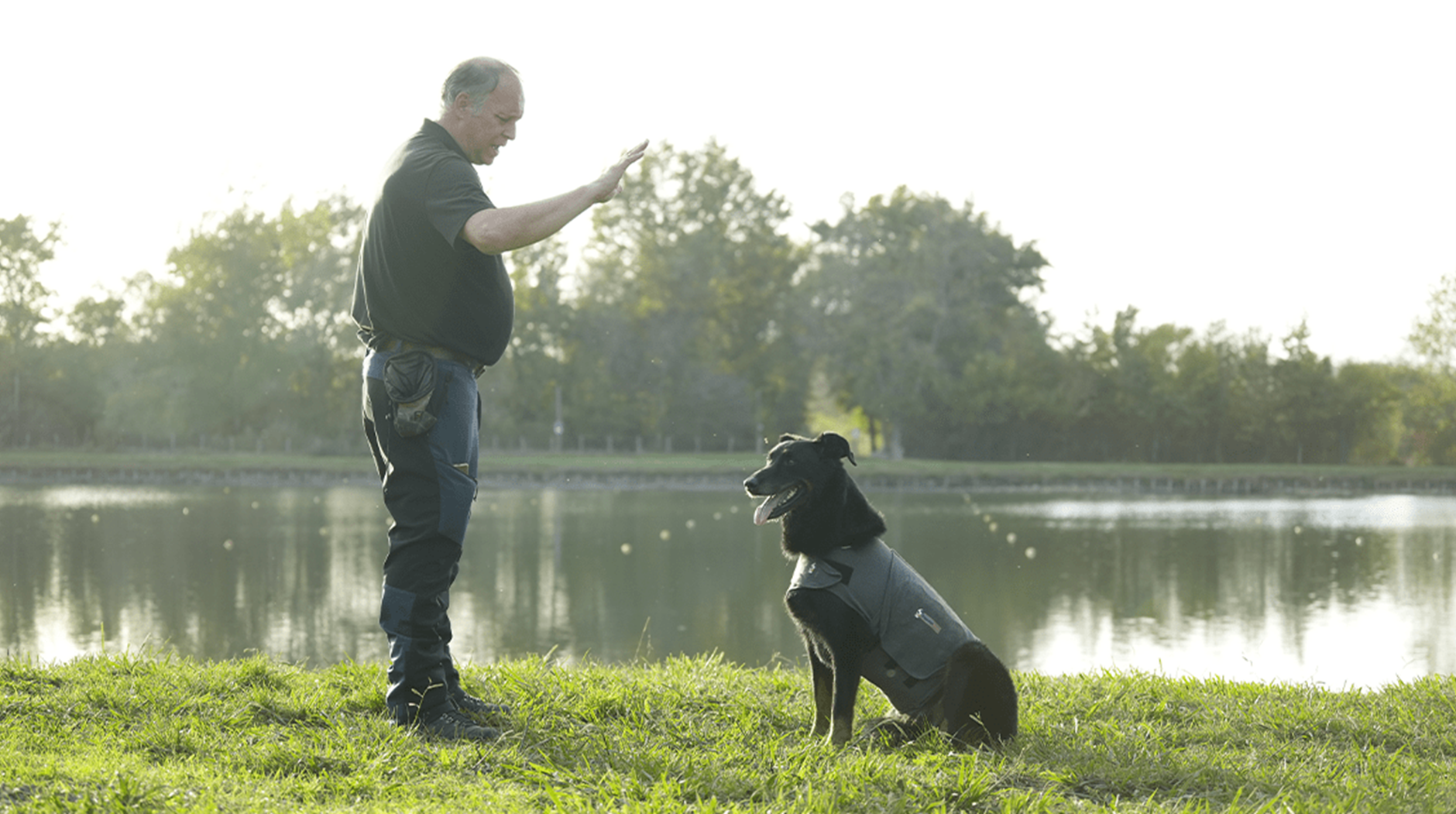 Como ensinar um cão a sentar