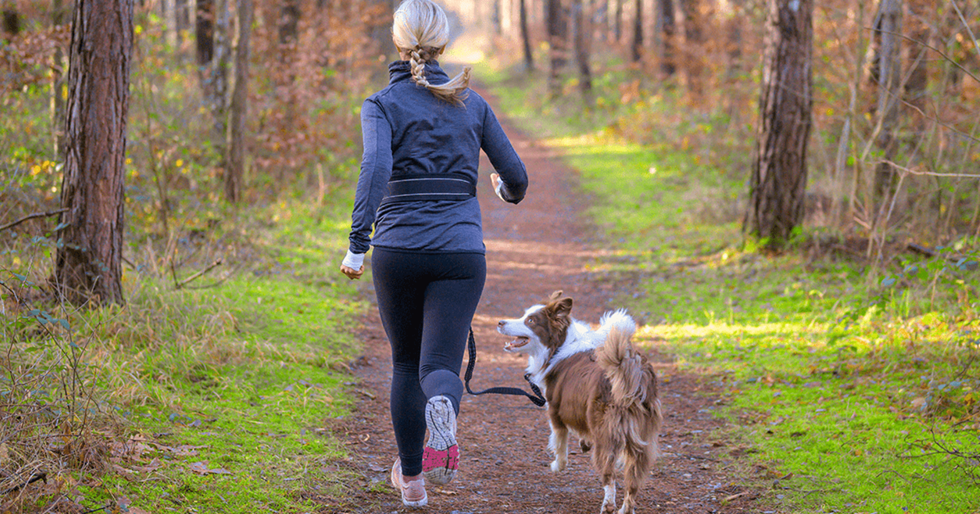 Um cão correndo por uma floresta com seu dono.