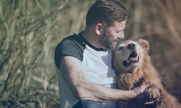 Um cão feliz brincando com um humano