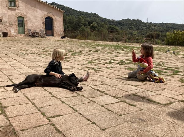 Two children sat opposite each other talking, one child is stroking their black dog as they sleep.