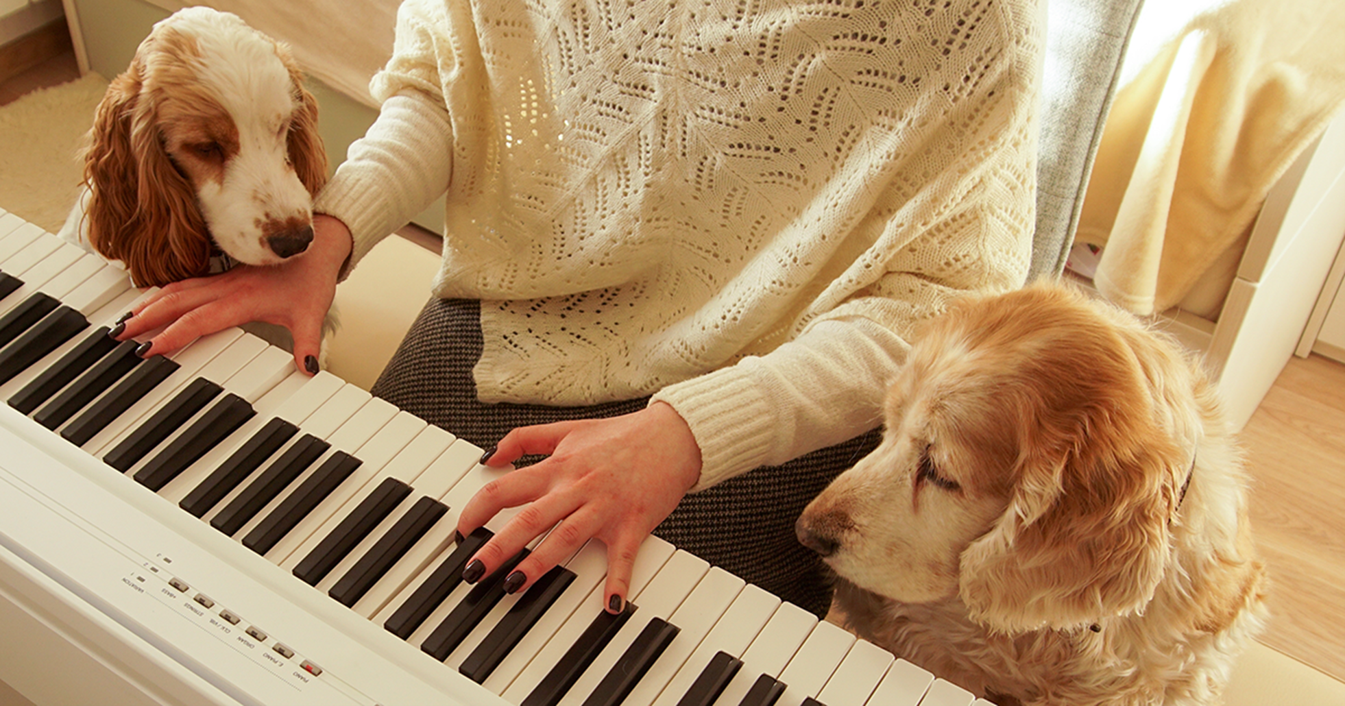 cães olhando a tutora cantar