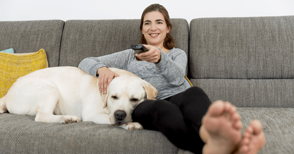 cão com humano no sofá