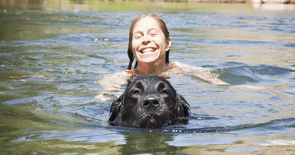 cane nuota nel fiume con il padrone