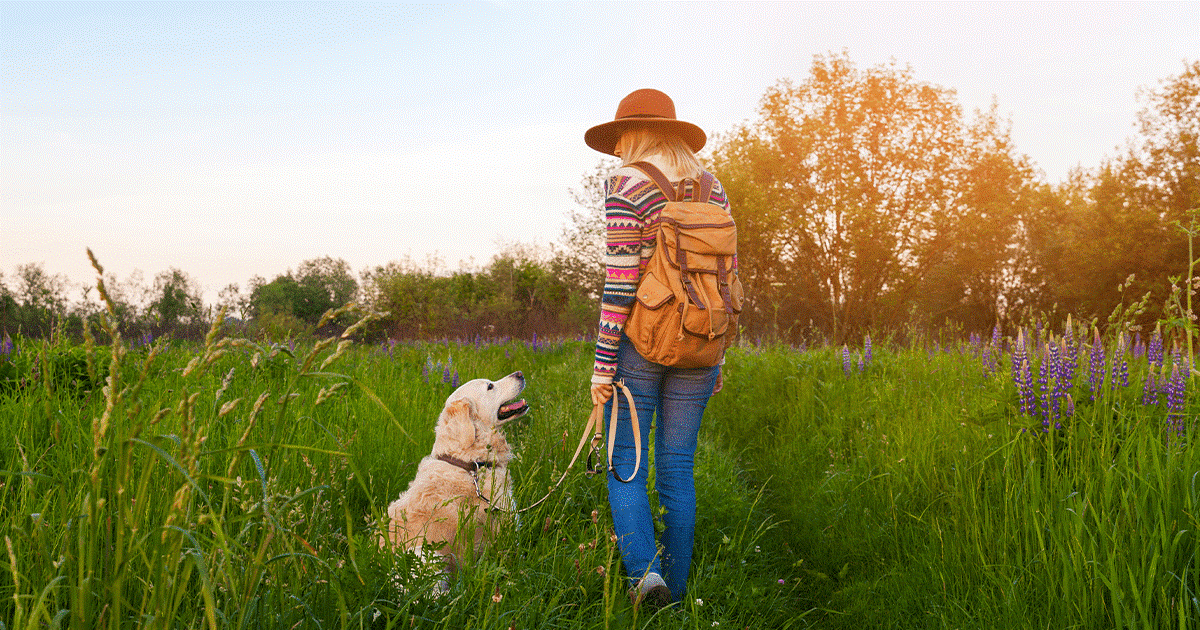 donna cammina con il cane in un campo di glicini