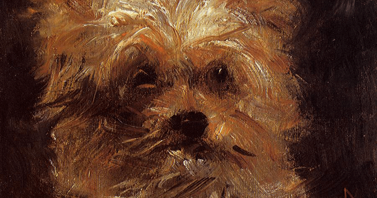 il dipinto di Edouard Manet Testa di cane