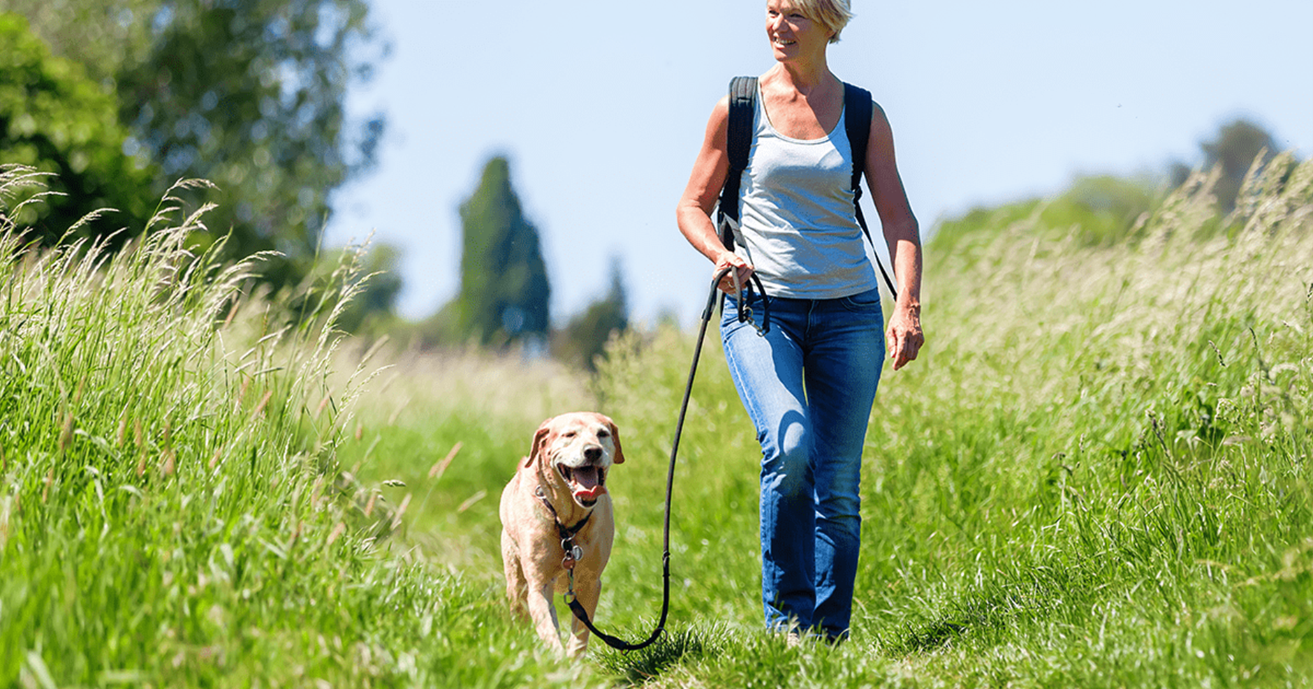 passeando com cães