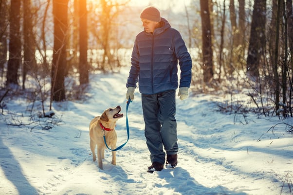 Man and his dog on a winter walk in the snow.