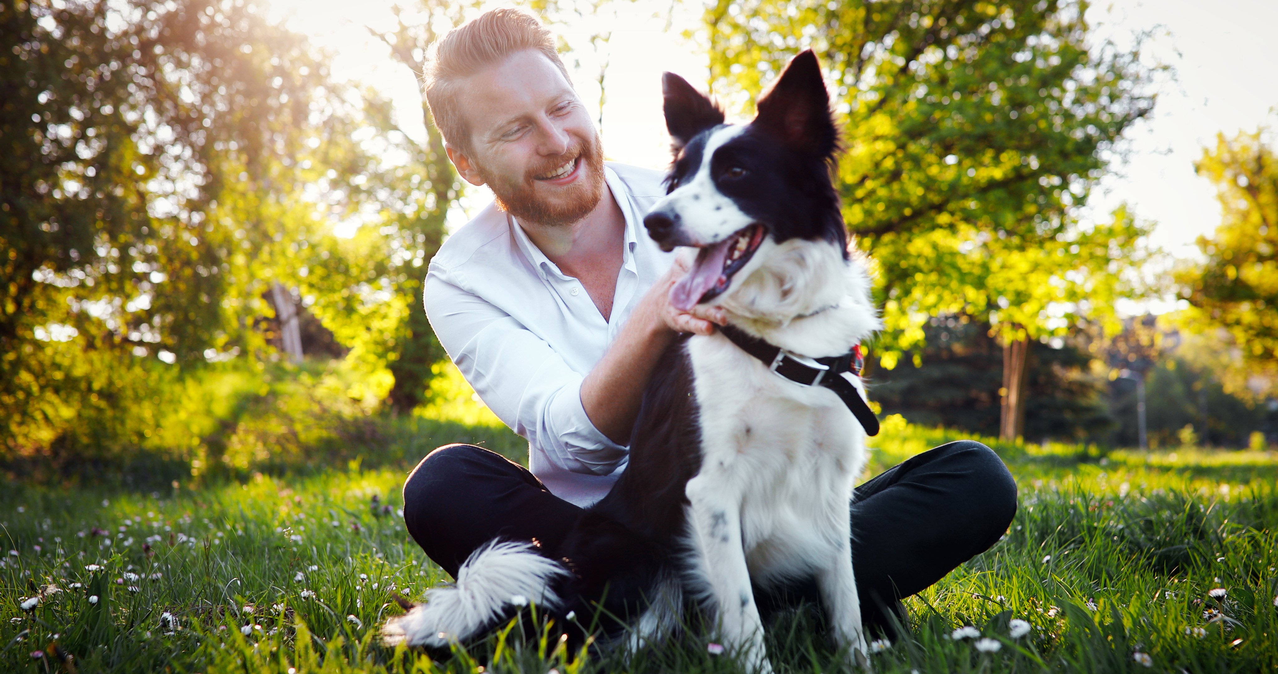 Glad mand med border collie i park