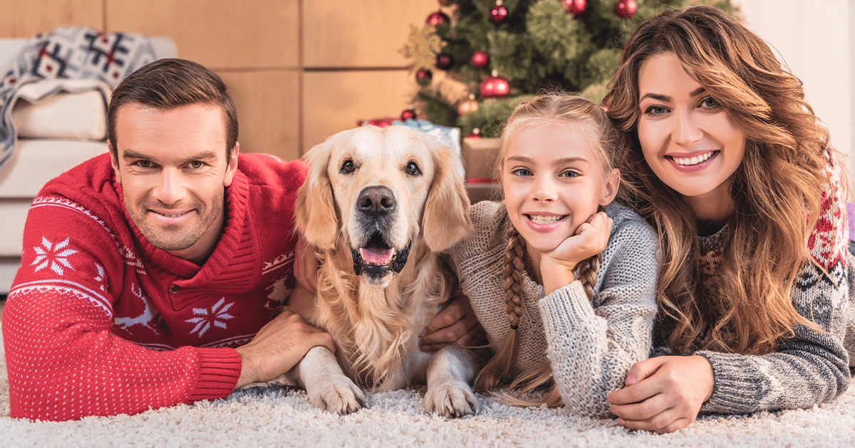 Family in festive sweaters laying in front of Christmas tree with golden retriever dog