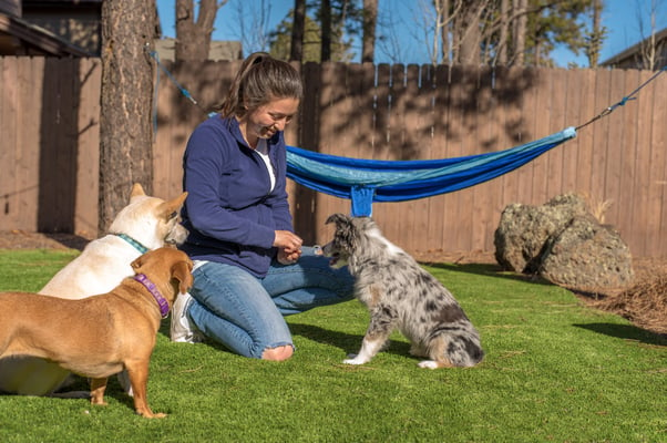 Women training three dogs in the garden.