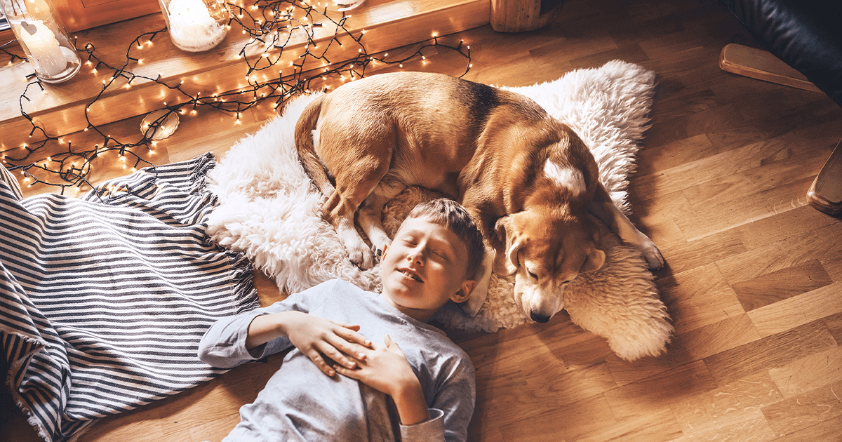 Boy lying on hardwood floor while beagle dog lays at his head on a sheepskin rug