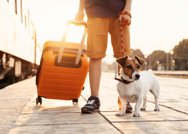 Dog at platform with human holding suitcase