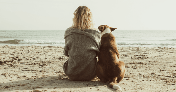 Woman sitting on beach side-by-side with large brown dog staring out into the water