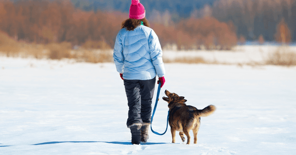 Young woman walking her dog through the snow.