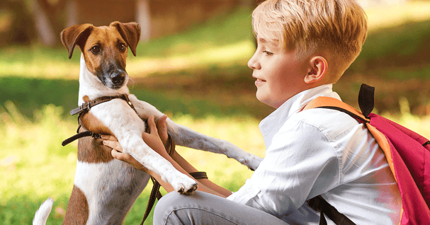 oung boy playing with his dog after school in the park