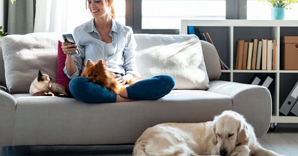 Woman on her sofa with two dogs and a cat.