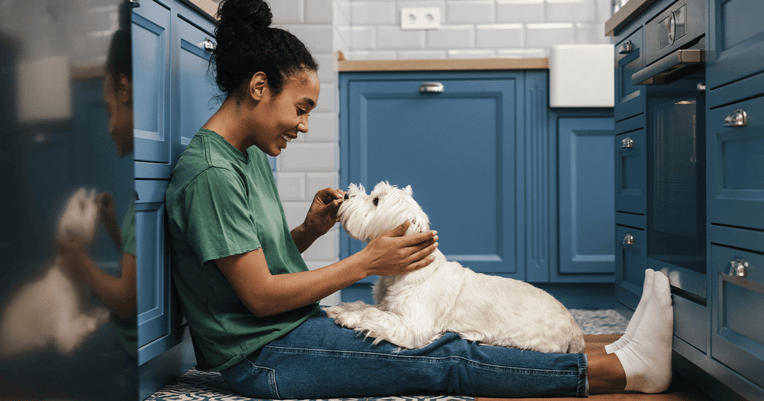 Dog sitting on owner’s lap in kitchen as owner reassures dog with treats